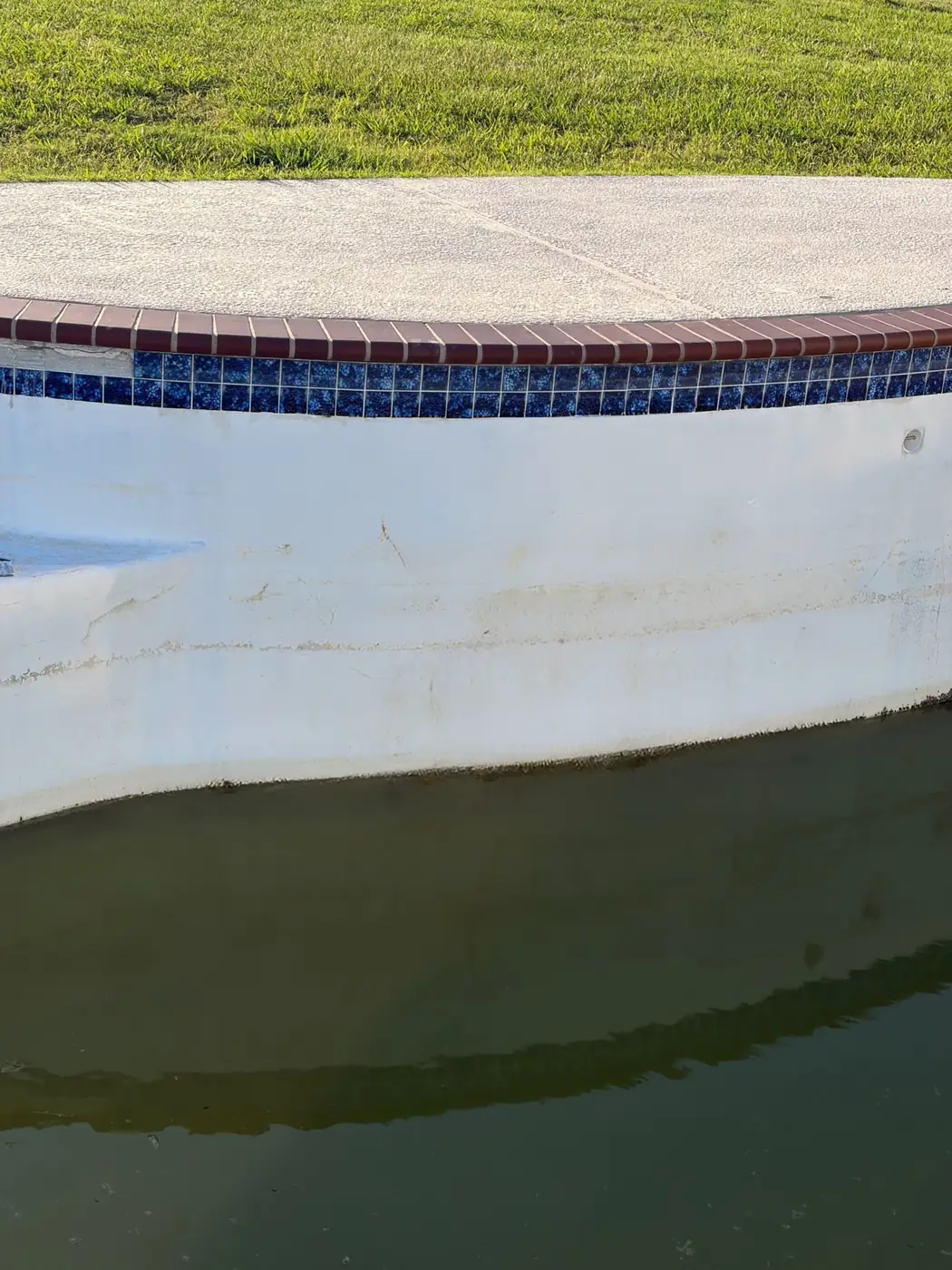 A neglected backyard pool with green, cloudy water before Kingdom Pools treated it